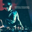 Hot Since 82 vs. TV Rock & Vicetone - I Like Lowdown