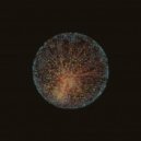 Midlake - The Old And The Young