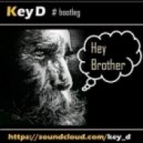 Avicii vs Martin Garrix - Hey brother, I\'m a wizard! (Key D bootleg) (Mashup)