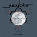 Juicy Bits - Proteine Audio Signals