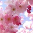 DJ Mike Iova - Flower Breeze
