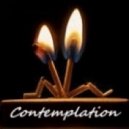 UUSVAN - Contemplation