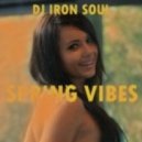 DJ Iron Soul - Spring Vibes (Original Mix)