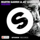 MARTIN GARRIX Vs YVES LAROCK - Wizard Zookey
