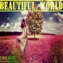 X-Wise - Beautiful World