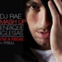 Enrique Iglesias feat. Pitbull - Im A Freak