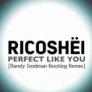 Ricoshёi - Perfect Like You