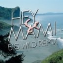 Sylvan Esso - Hey Mami