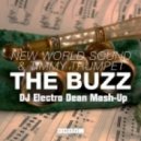 New World Sound & Timmy Trumpet - The Buzz