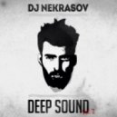 Dj Nekrasov - DeeP SounD vol.2 ()