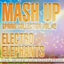 Baha Men vs Toby Green - Who Let The Dogs Out (Electro Elephants Mash Up)