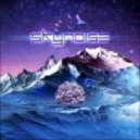 Skynoise - Long Way Home