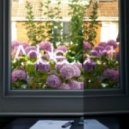 Adolescent - Don't Feed Anger