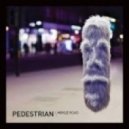 Pedestrian - Hoyle Road