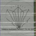 Tessela - Hackney Parrot (Iva Re - Edit)