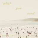 Boyd Kelly - What You Need