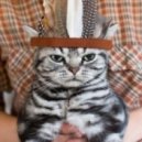 Made1ra - Good Morning