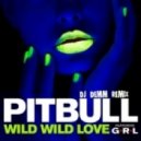 Pitbull ft Grl - Wild wild love