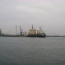 CHEEZ! - Royal Flush