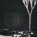 ŞLΣΣP - ŞL (Original mix)