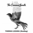 The Common Linnets - Calm After The Storm