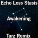 Echo Loss Stasis - Awakening