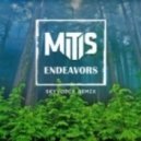 MitiS - Endeavors
