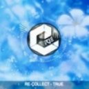 Re-Collect - True (Original mix)