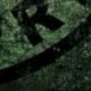 Thomas Wandrach - Purging Tree