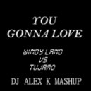 Windy Land vs. Tujamo - You Gonna Love (Dj Alex K Mash-Up) (Club Edit)