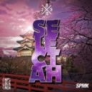 8Er$ - Selectah