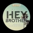 Avicii - Hey Brother