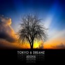 Tokyo & Dreamz - Aruna (Original mix)