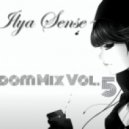 Dj Ilya Sense - Random Mix vol.5 ()