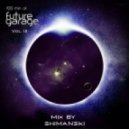 Shimanski - Miracle (Future Garage Vol. 3)