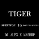 Survivor vs. Bodybangers - Tiger (Dj Alex K Mash-Up)