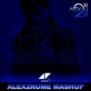 Avicii - Hey Brother