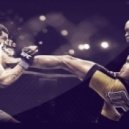 D.W.A.Y - Dismissed Predator