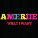 Ameriie - What I Want