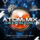 ATOM MIX - DEEP SOUND VOL 3 (DEEP SOUND VOL 3)