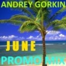 Dj Andrey Gorkin - June Promo Mix 2014 ()