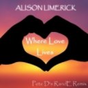 Alison Limerick - Where Love Lives
