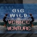 Big Wild - Venice Venture (Original mix)