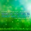 Playme vs. Aeris feat. Jess Morgan - What Do You Feel In Peace And Serenity (Tycoos (Tycoos \
