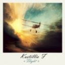 Kostillio F - Flight