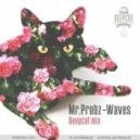 Mr.Probz - Waves