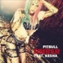 Pitbull Feat. KeSha - Timber