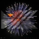 Katy Perry vs. Maor Levi - Firework (MitK MashUp)