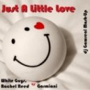 White Guys,Rachel Reed vs. Garmiani - Just A Little Love