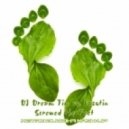 DJ Dream Tim vs. Vasutin - Screwed the Feet (Metro Buddha Mash-Up)